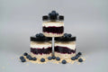 Blueberry Protein Overnight Oats Nourished
